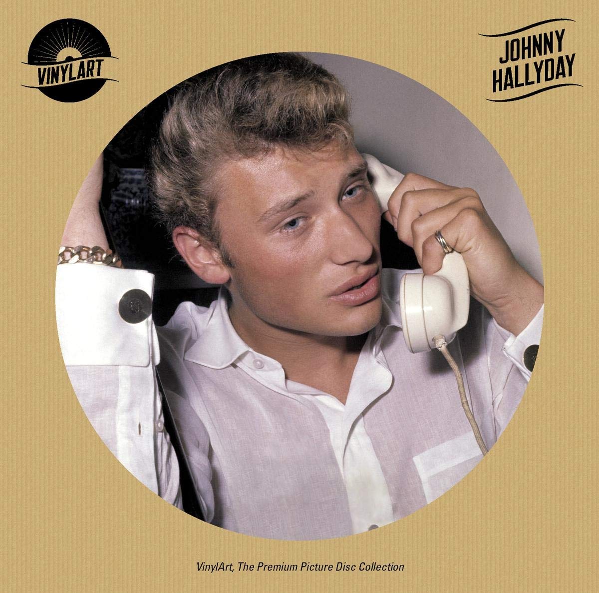 Vinylart,the Premium Picture Collection