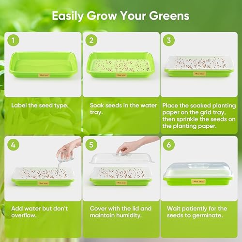 Miniatura 3 de FELISTORY Paquete de 6 bandejas de germinación de semillas verdes con tapa, bandeja de germinación de cultivo sin tierra, bandeja de vivero con