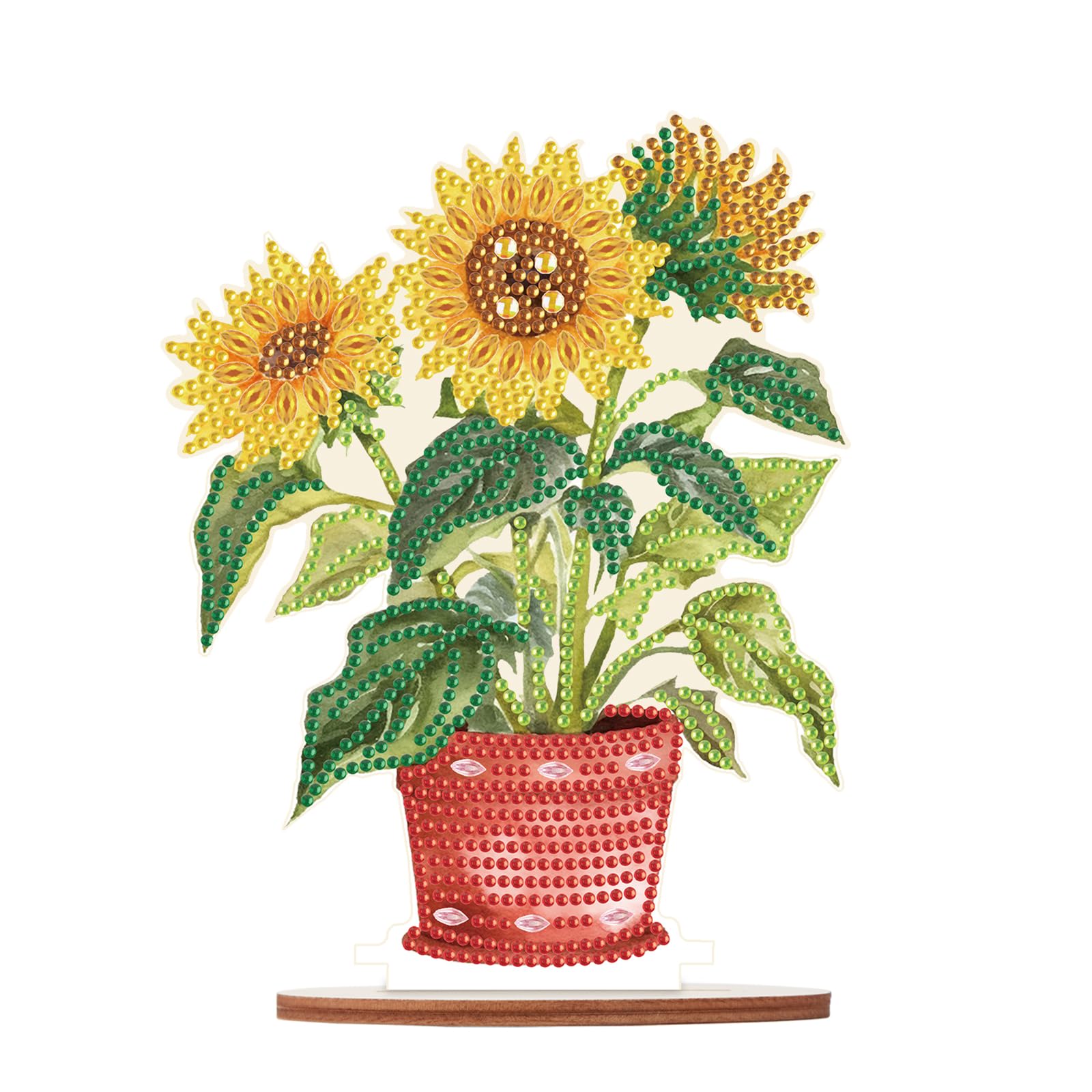 Diamond Painting Disegni con Perline da Attaccare Passatempo Adulti Pittura Diam