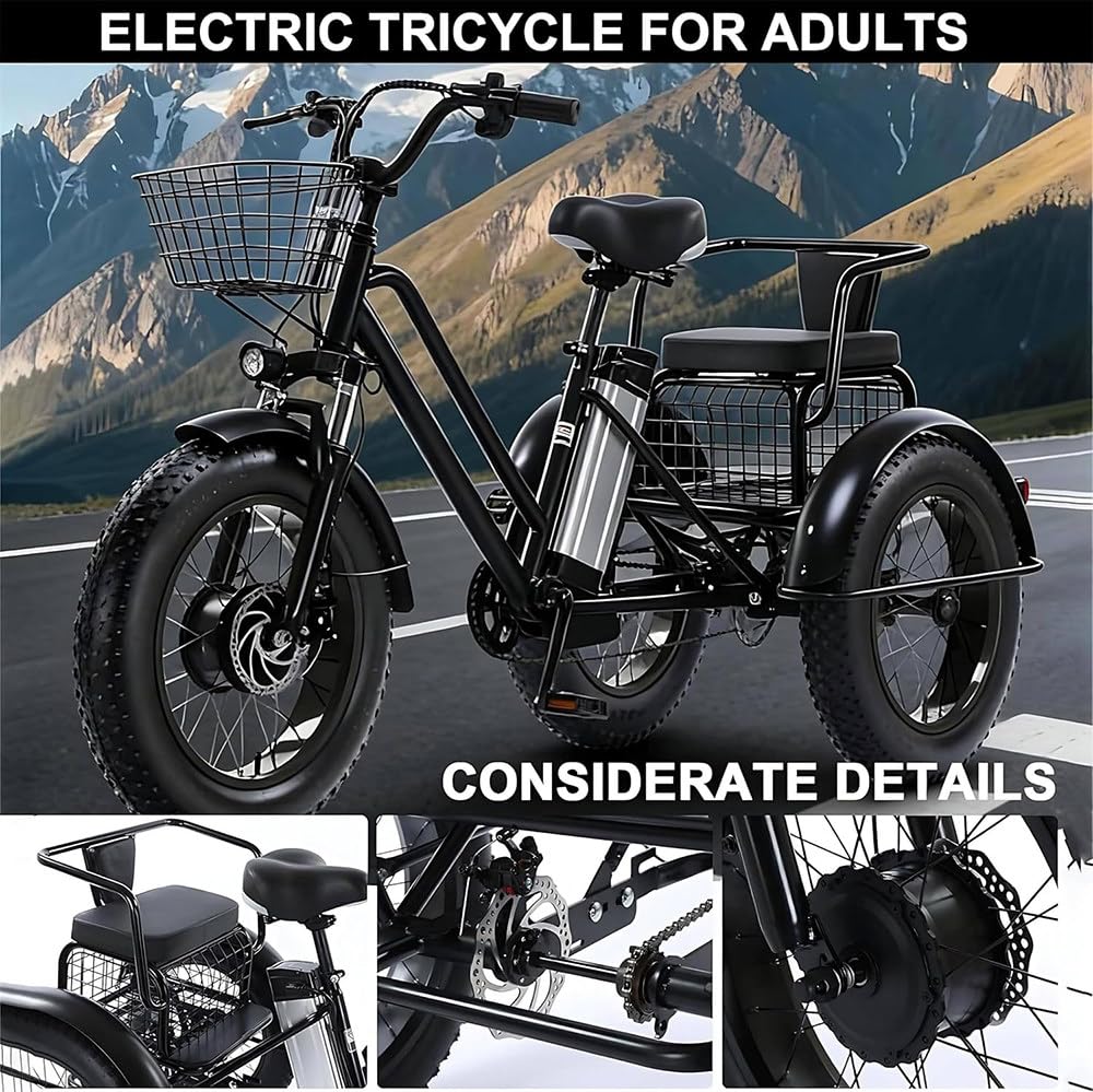 Triciclo elettrico for adulti in acciaio ad alto tenore di carbonio