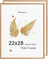 Vista 282 de Fun Memories Portarretratos de metal de 16 x 20 pulgadas con paspartú de 11 x 14 pulgadas, acabado de aluminio cepillado, parte delantera de vidrio