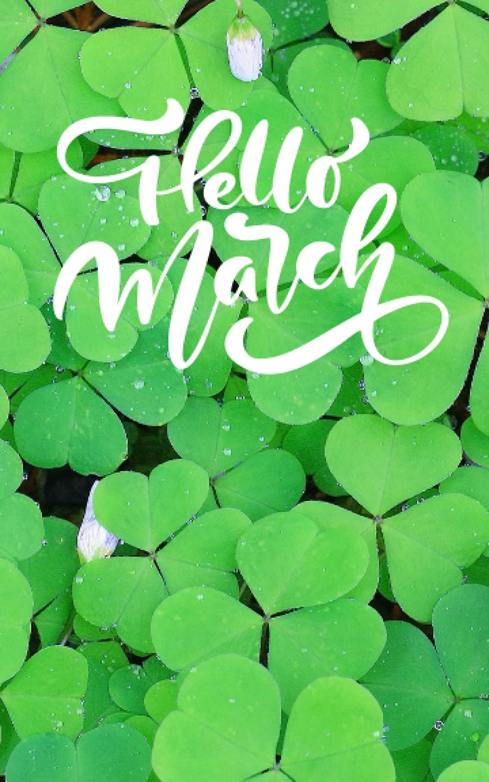 Hello March month writing notebook