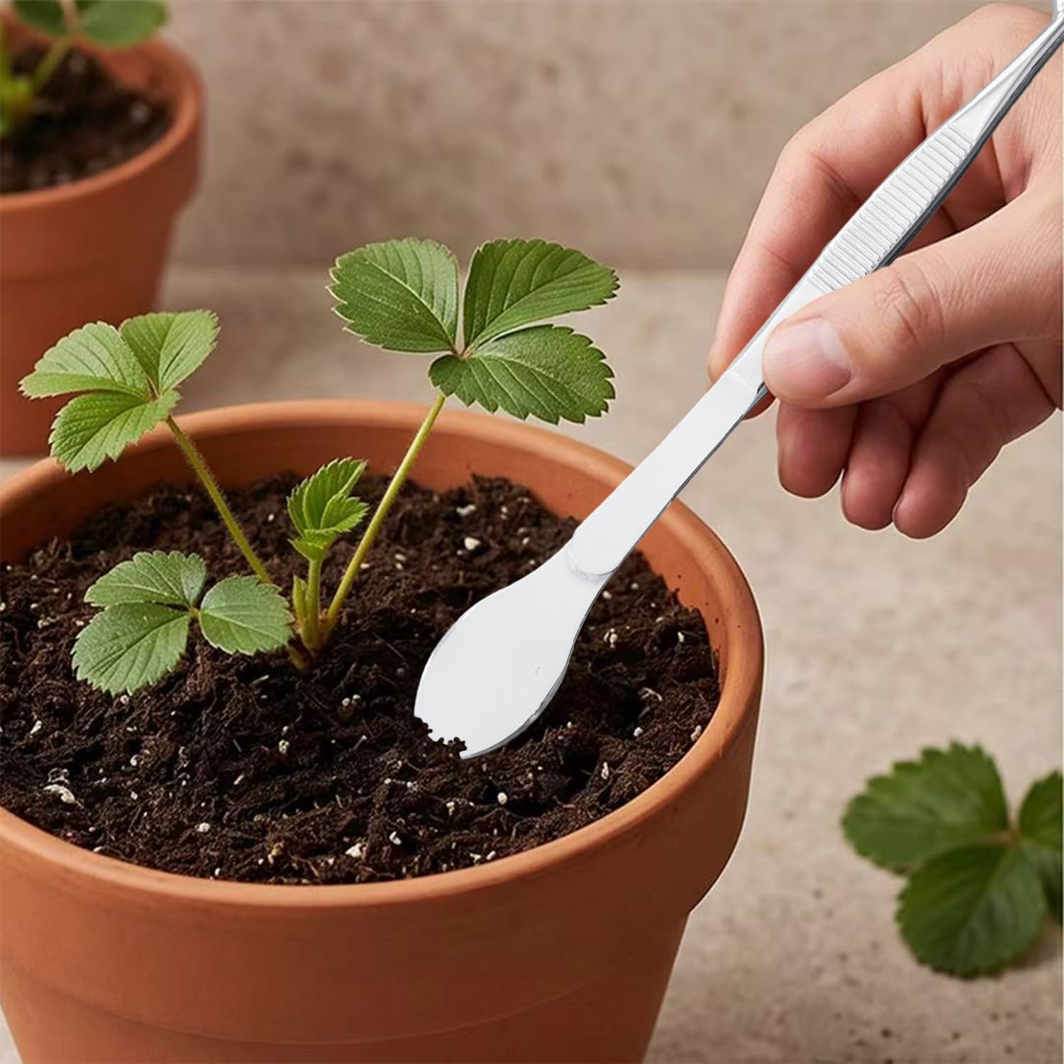 Bonsai Tweezers Set - Stainless Steel Pruning Tools -5 Bonsai Tweezers Set - Stainless Steel Pruning Tools -5