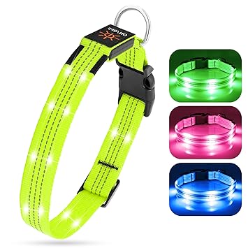 LED Dog Collars?USB Rechargeable LED Dog Collar Waterproof Dog Collar Flashing Dog Collar Dog Collar Light Glow in The Dark for Safety Night Walking (Green, Medium)