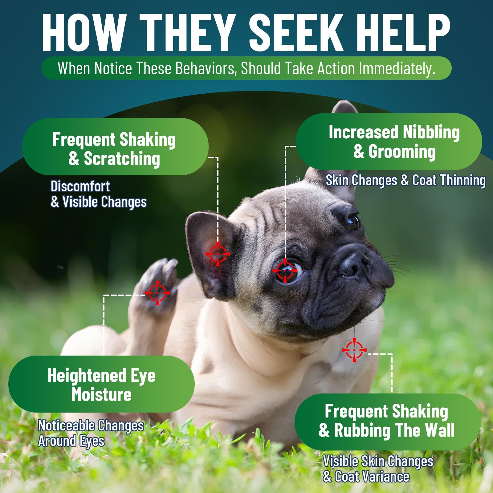 Dog Allergy Relief Chews for Dogs Itchy Skin with Salmon Oil & Omega-3, Dog Allergy Support Chews for Itchy Paws Ears, Eyes - Image 2