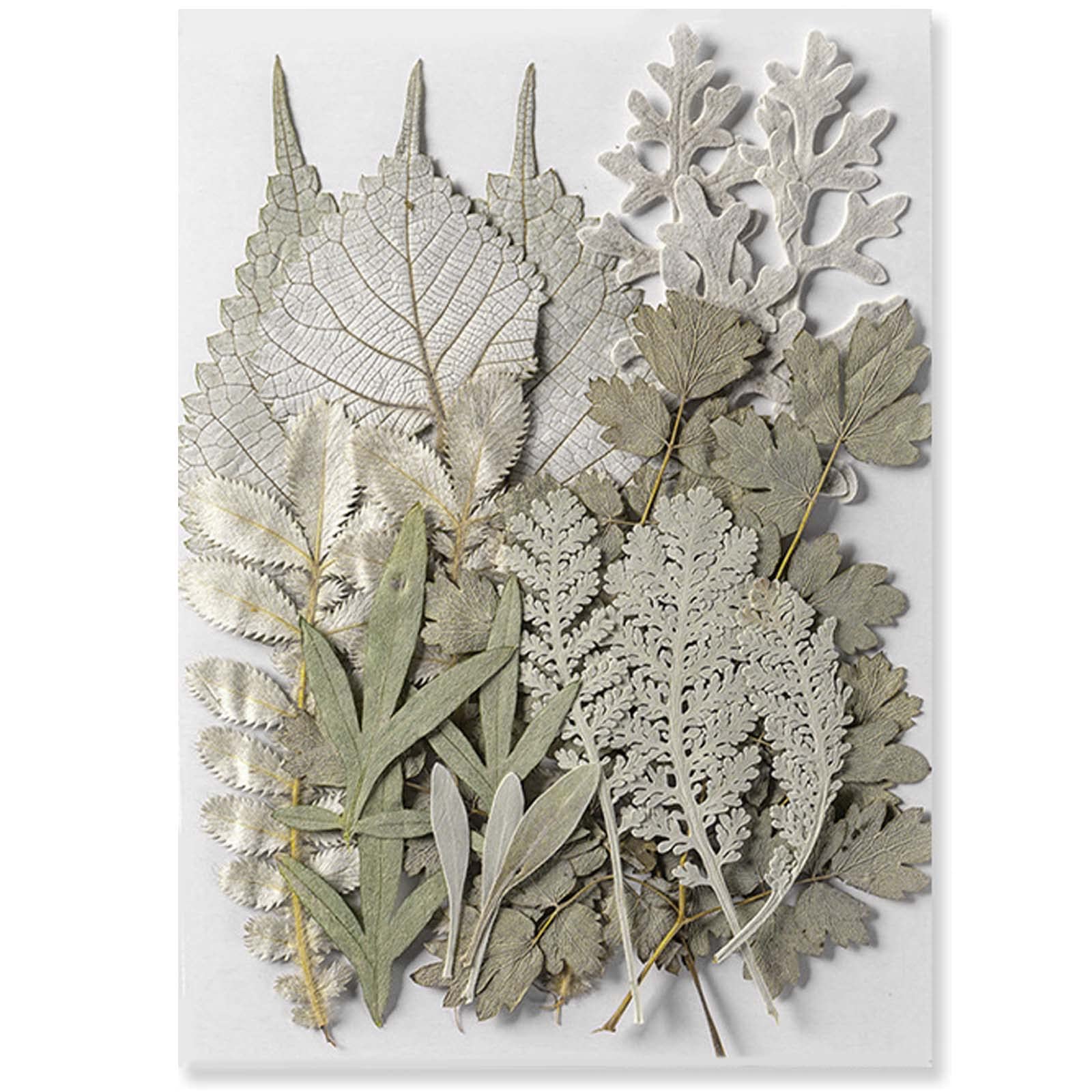 Commercio All'ingrosso Di Silicone Fiori Pressati In Resina Epossidica Per Prodotti Da Forno - Foto 8