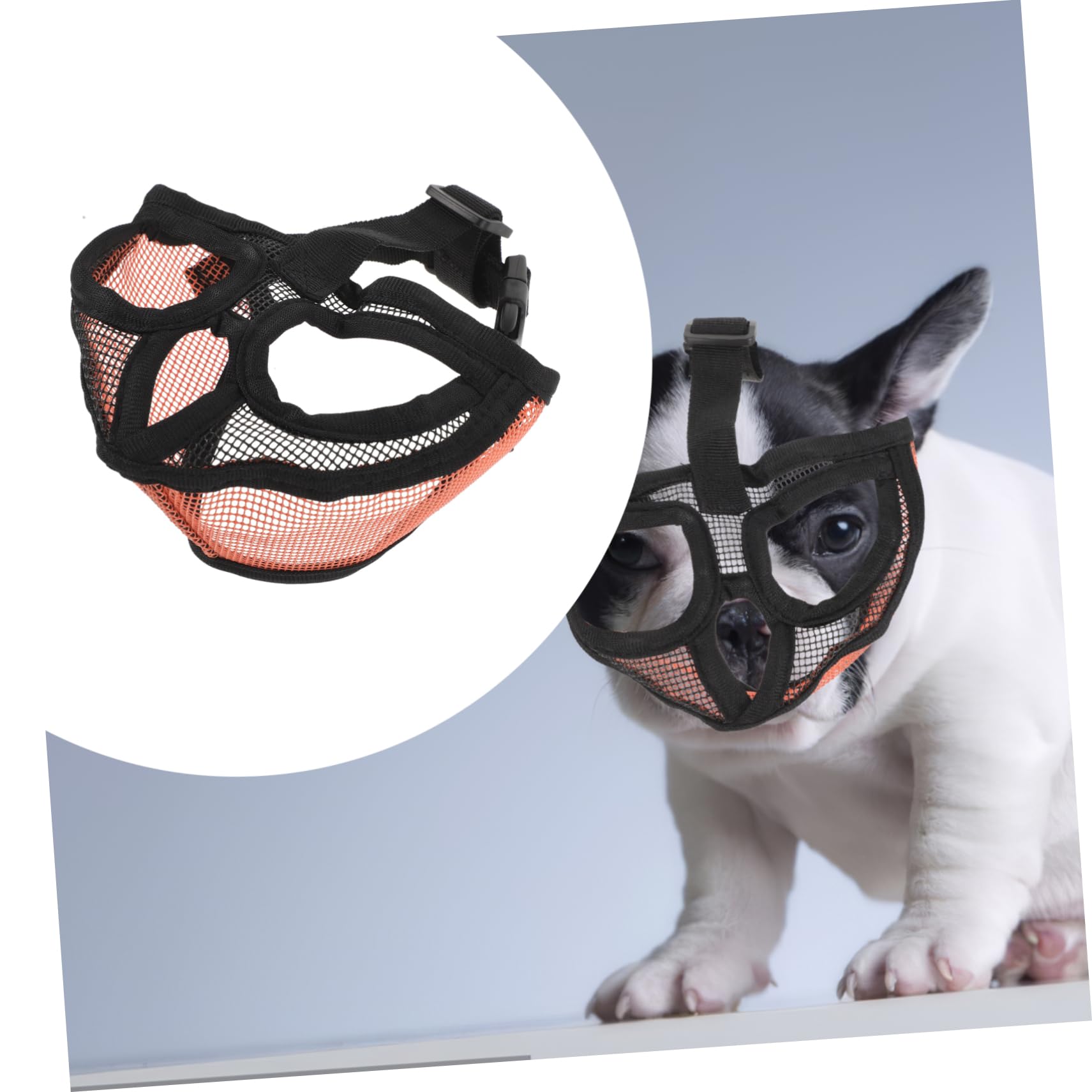 BESPORTBLE 5pièces Muselière Réglable Maille Respirante pour Chiens Aboiements Et Morsures Confort Optimal pour Animaux De Compagnie