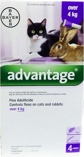 Advantage Large Cats | Monthly treatments are required for optimal control and prevention of fleas.
