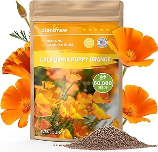 Orange California Poppy Seeds for Planting - Bulk 1.76 Ounce Packet - Over 50,000 Native Seeds - California State Flower