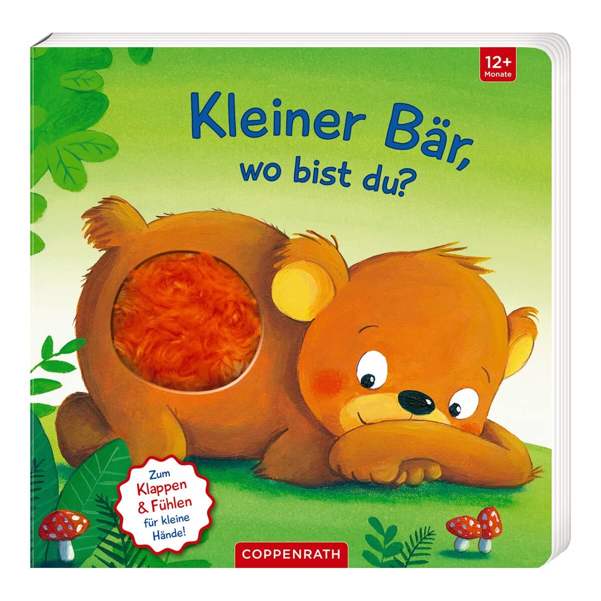 Mein erstes Guckloch-Fühlbuch: Kleiner Bär, wo bist du?