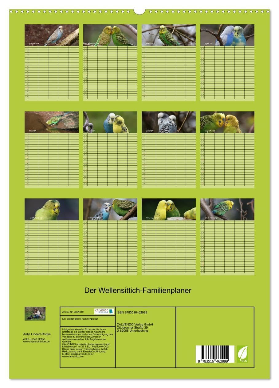 Der Wellensittich-Familienplaner (hochwertiger Premium Wandkalender 2026 DIN A2 hoch), Kunstdruck in Hochglanz: Putzige Piepmätze (CALVENDO Tiere)