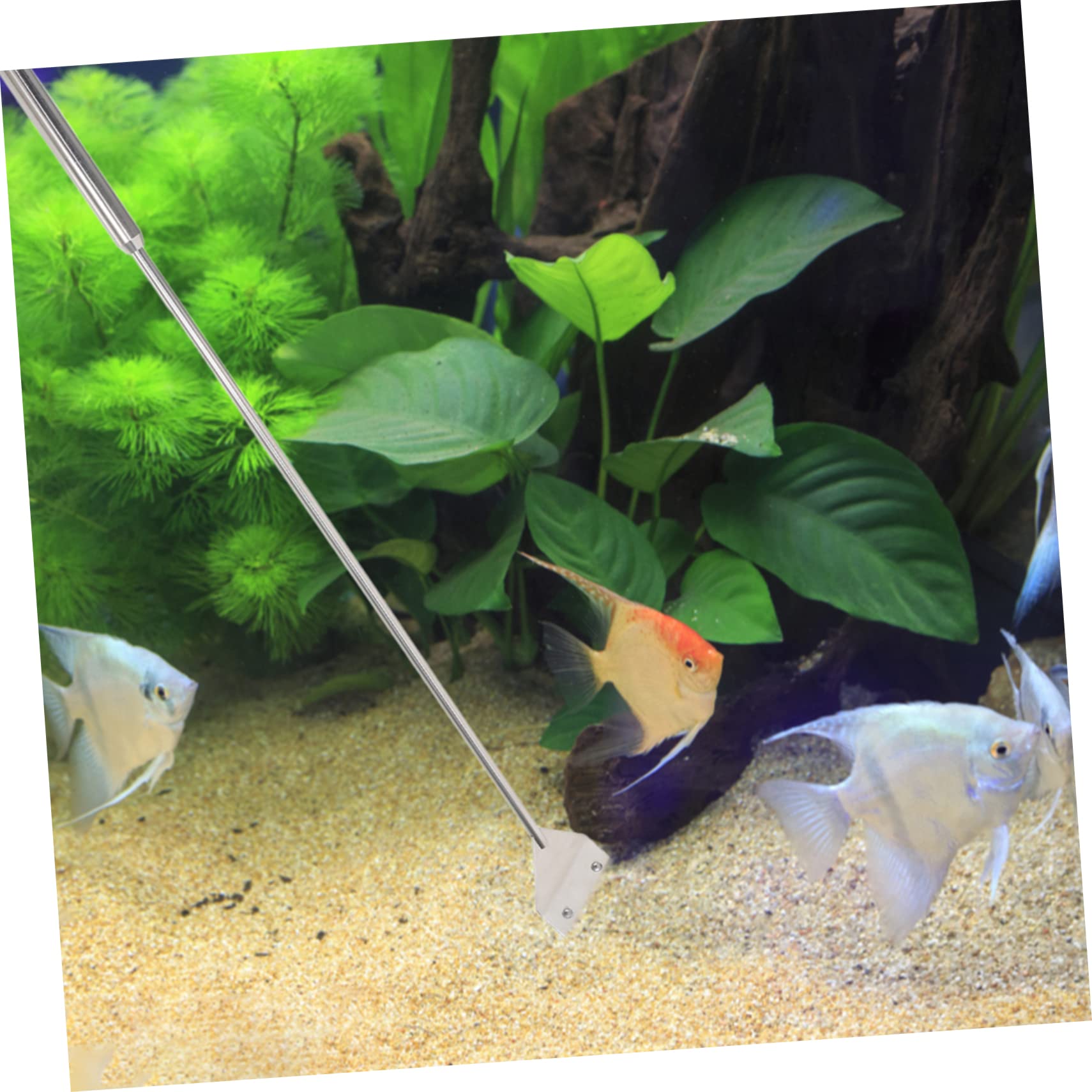 Sosoport Aquarium Reinigungsset aus Metall für Glasfischtanks, Silber
