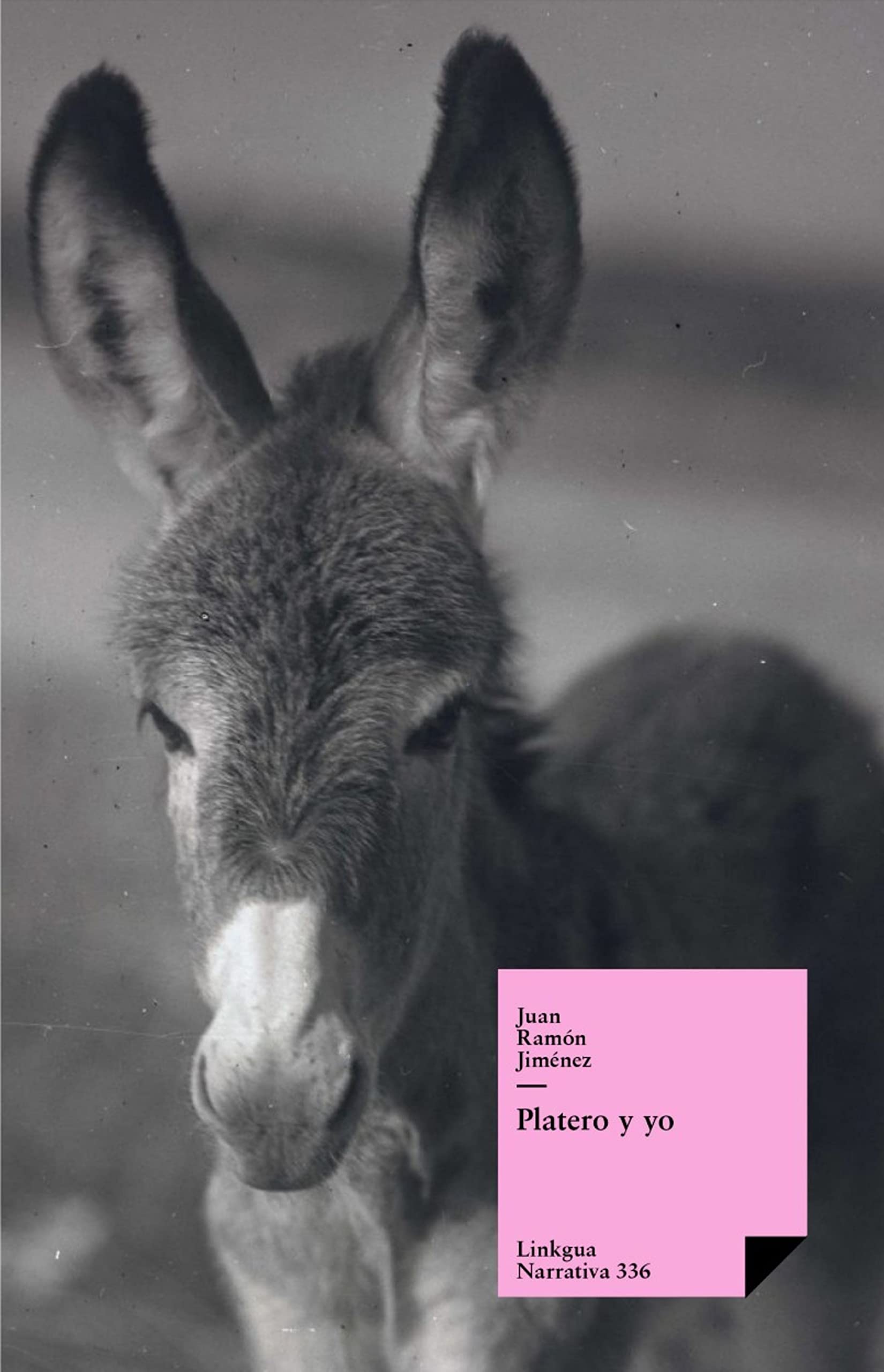 Platero y yo (Narrativa nº 336) (Spanish Edition)