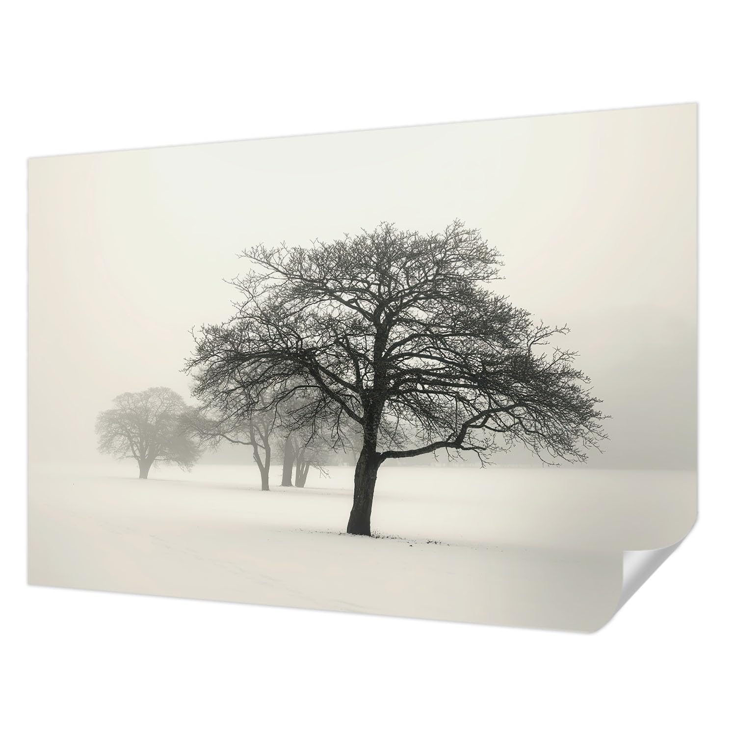 Papier peint autocollant 152x104 cm haute qualité résistante aux taches