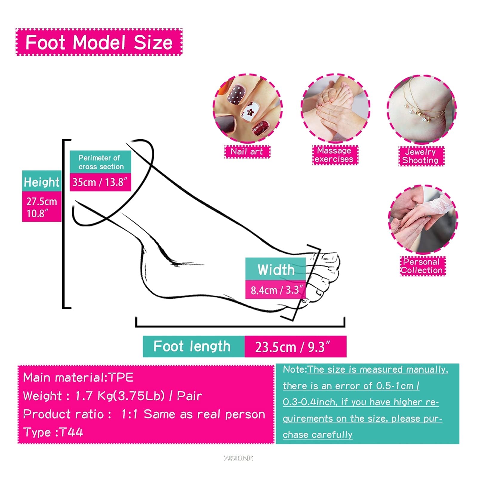 Shooting Display Requisiten Fuß Modell Schuhe Socken Sandale 1: 1 Frau Fake TPE. Zum Zeichnen der Reflexzonenmassage-Praxis T44(Toes positioning,Left foot)