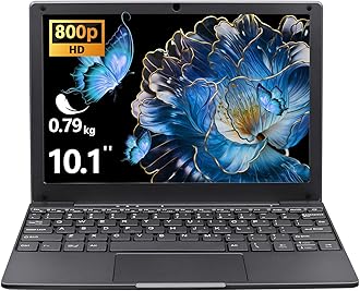 BINTEC 10.1 inch Ultra-Thin Portable Mini Laptop,Celeron N4000 Processor (up to 2.8Ghz), 8GB RAM DDR4,Weight only About 0.8Kg,Built-in Webcam, WiFi, Easy to Carry (Gray, 8G+128GB SSD)