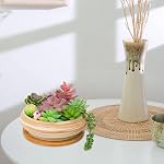 ARTKETTY Succulent Pots - Ceramic Bonsai Pots with Drainage Tray, 7.3 Inch Large Plant Pots Shallow Succulent Planters for Indoor Plants Decorative Cactus Flower Planter Bowl