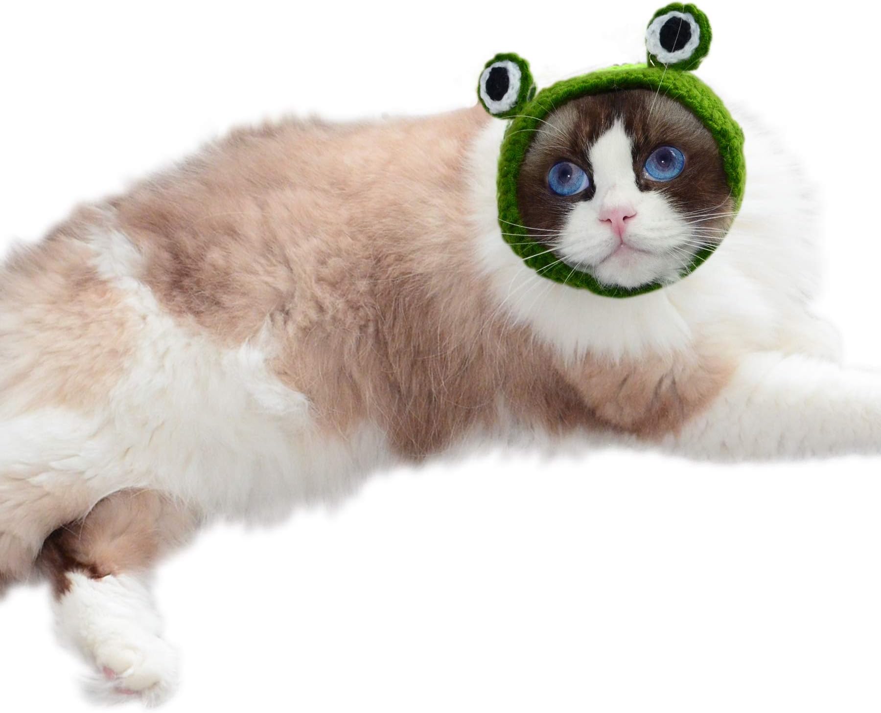AMOY Cute Cartoon Frog Knit Dog and Cat Hats|Funny Costume for Cats/Small Dogs/Big Dogs/Children/Adults|Family Costume (Small)