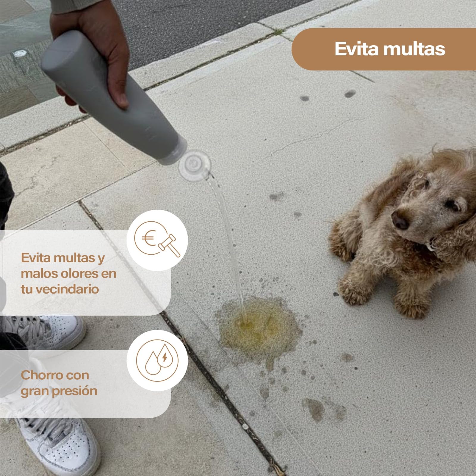 Pipi Cani - Bottiglia per cani da 600 ml, bottiglia per cani in silicone pieghevole e ricaricabile, con nebulizzatore, moschettone e corda regolabile, accessorio per passeggiate