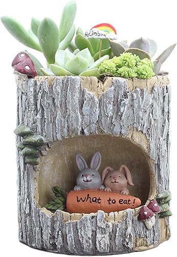 wodico Macetas pequeñas para suculentas con drenaje. Bonitas, divertidas y únicas macetas de suculentas de diseño para plantas de interior o plantas