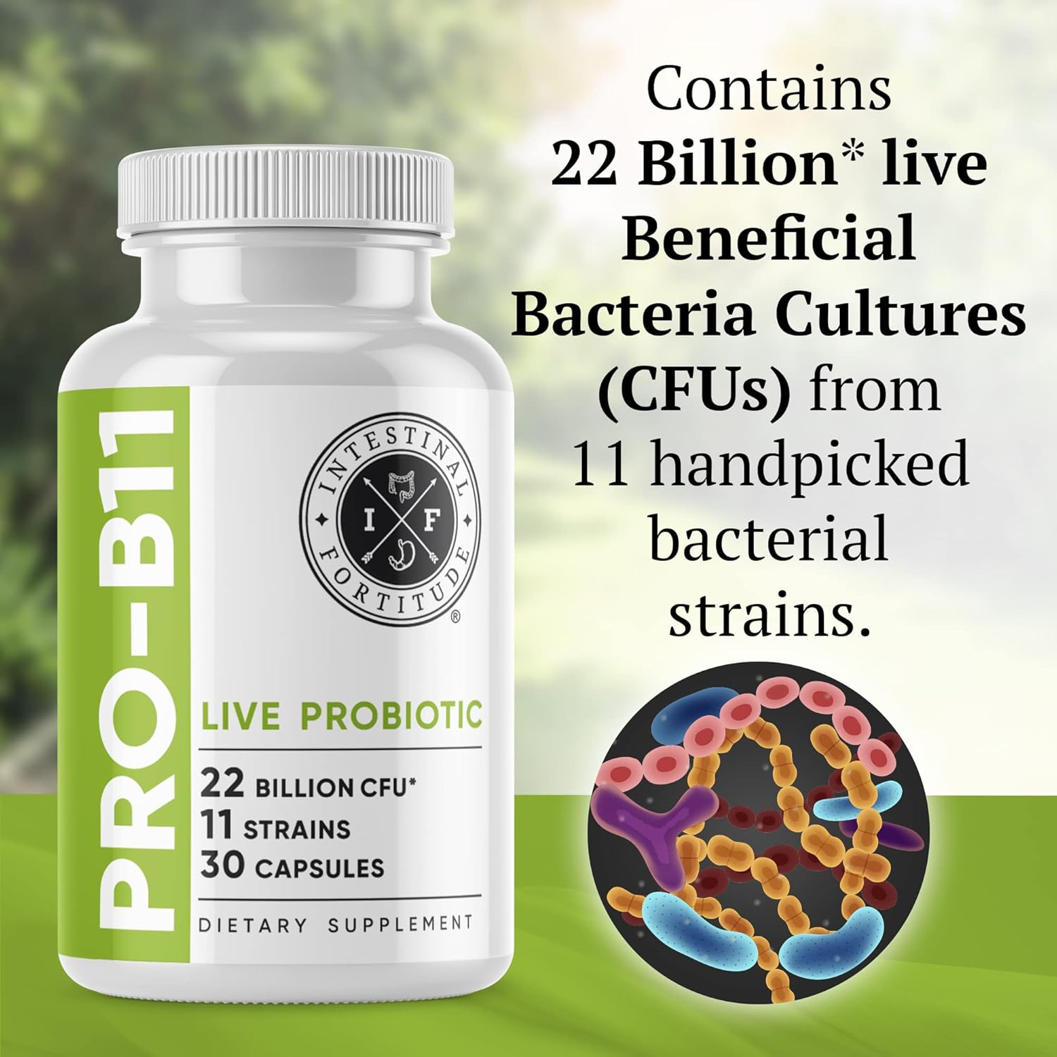 Intestinal Fortitude Phage 1 - Gut Health Supplement, Digestive Health, Immune Support, 30 Servings : Everything Else