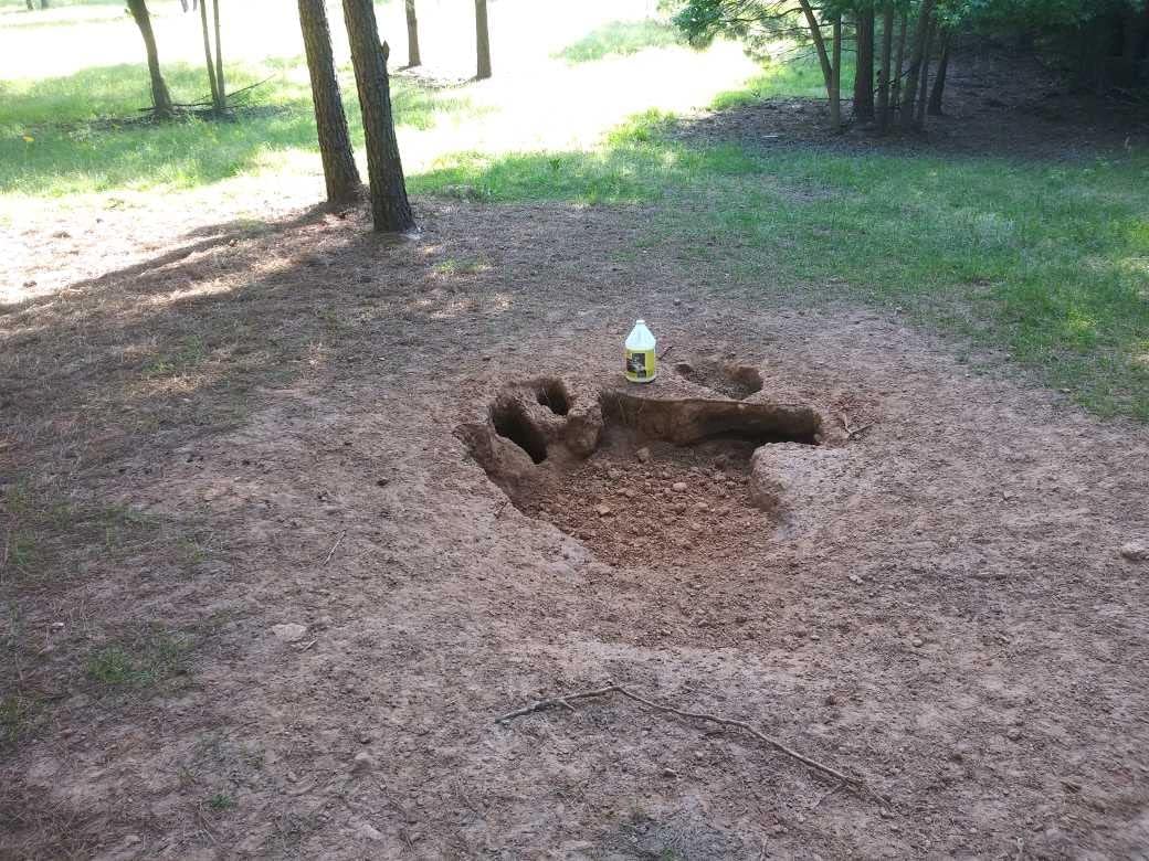 Tag-Out, Year-Round Deer Mineral Supplement (4)