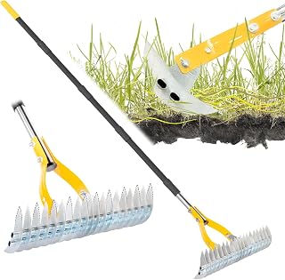 BlumeTrec 74" Thatch Rake with 15" Dual-Sided Dethatcher Head - Heavy Duty Steel Lawn Rake for Removing Dead Grass & Thatch