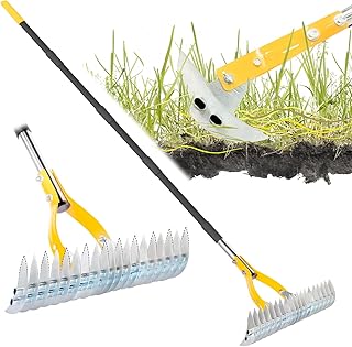 Thatch Steel Lawn Dethatcher Rake