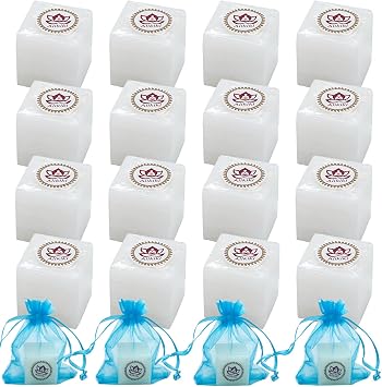 300G 64-Tablets Pure Camphor Blocks - 100% Natural Camphor Cubes for Pooja Nature Alcanfor Tablets Indian Religious Purposes Aromatherapy,Odor Eliminator, Hindu Puja Item 10oz