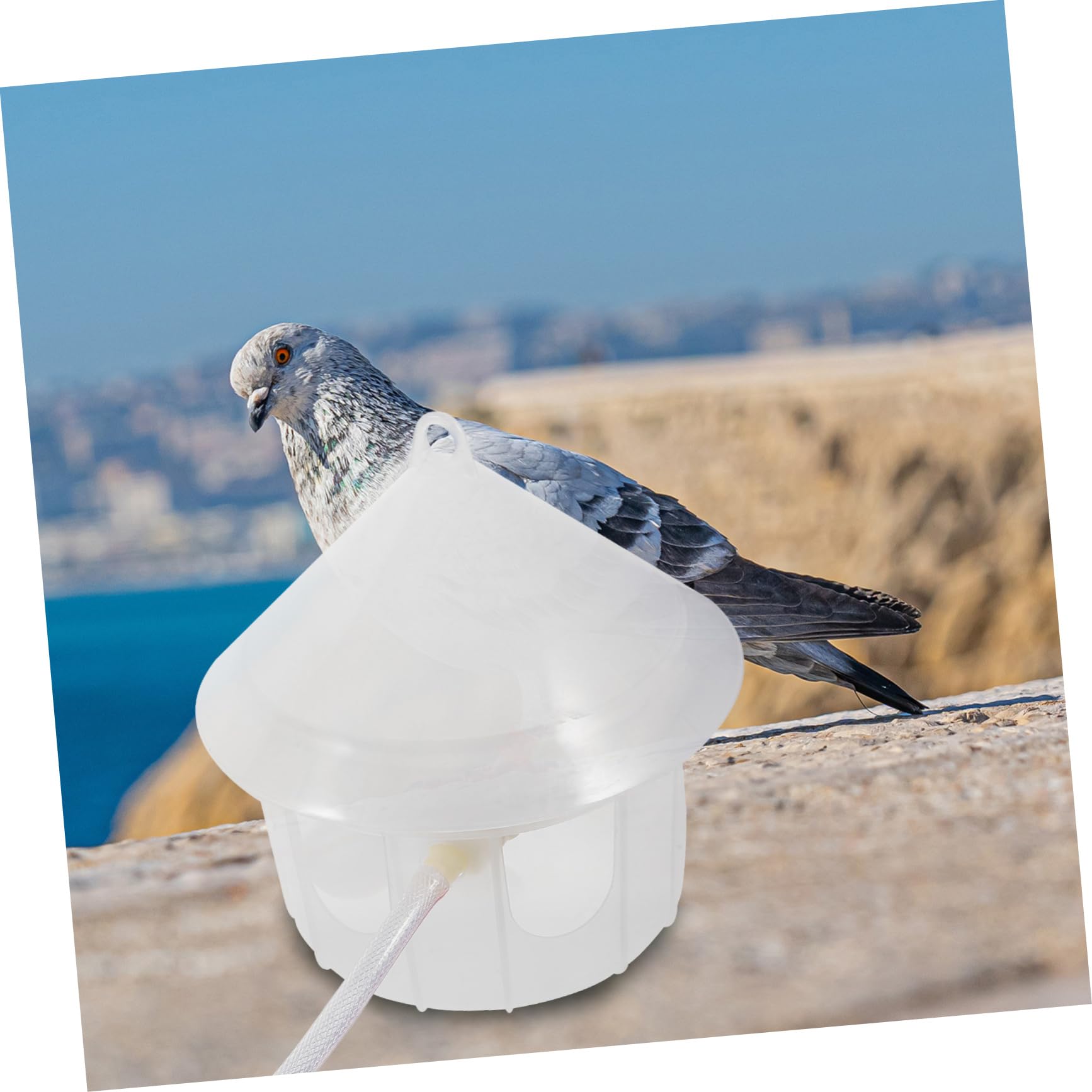 Mipcase Dispenser di Acqua Automatico per Piccioni e Pollame in Plastica, Facile da Pulire e Fissabile alle Gabbie, per Alimentare Uccelli, Quaglie e Altri Volatili