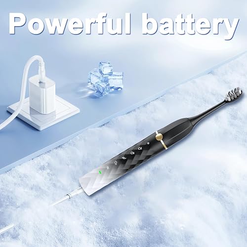 Seapeoa Electric Toothbrush Set, Equipped with 10 Brush Heads and Travel case, IPX8 Waterproof, 2-Minute Timer, 42000 high-Frequency Vibrations, 5 Modes, The First Choice for Gift Giving