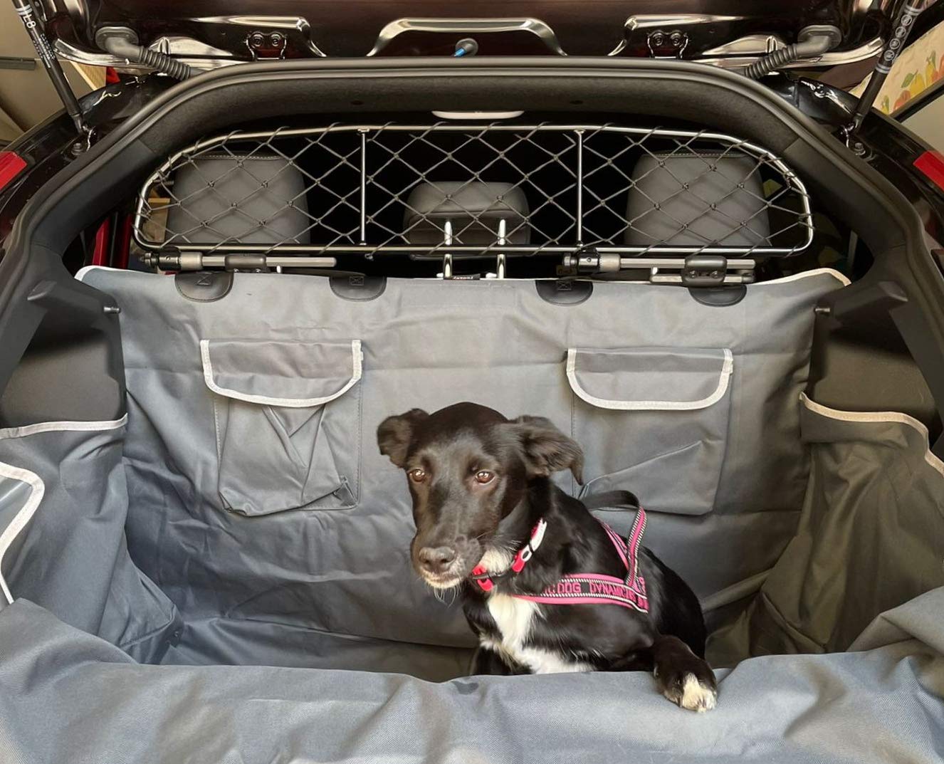 ERGOTECH Divisorio Griglia Rete Divisoria per Toyota Yaris (dal 2020 in poi), RDA65-HXXS, per Trasporto Cani e Bagagli