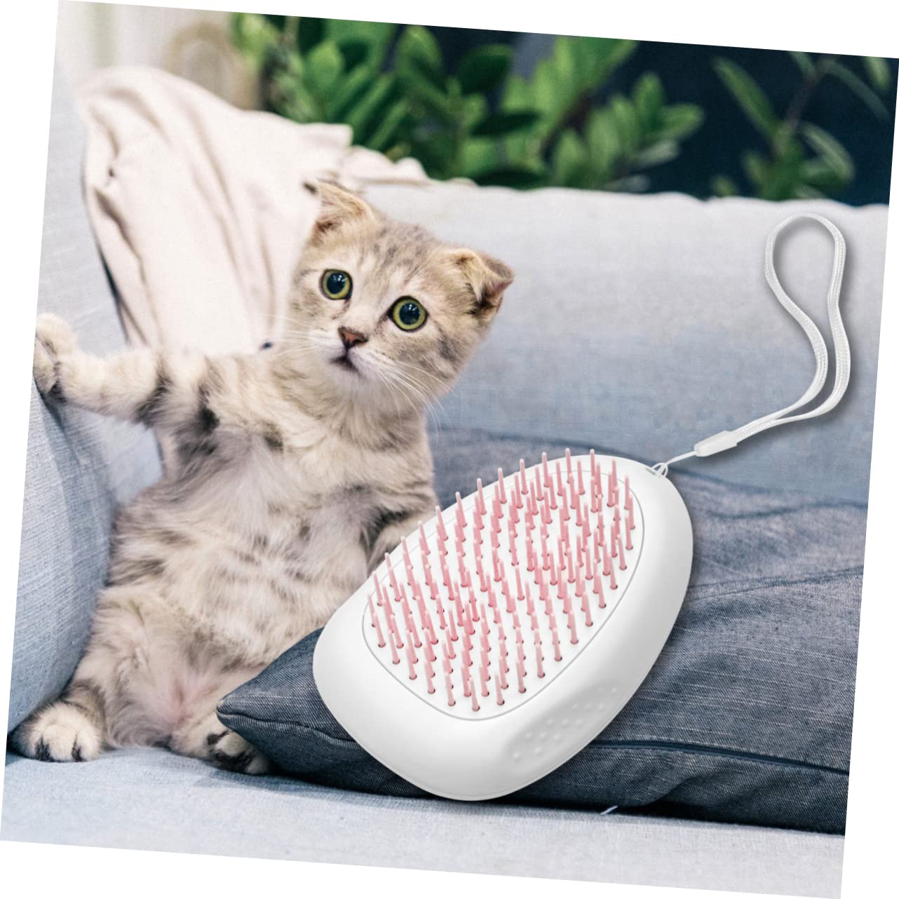 Kisangel 3piezas Cepillo Deshedding Para Perros y Gatos Peine De Limpieza De Pelo De Mascotas Herramienta De Aseo Portátil Con Lanyard Elimina Enredos y Suciedad Color Rosa