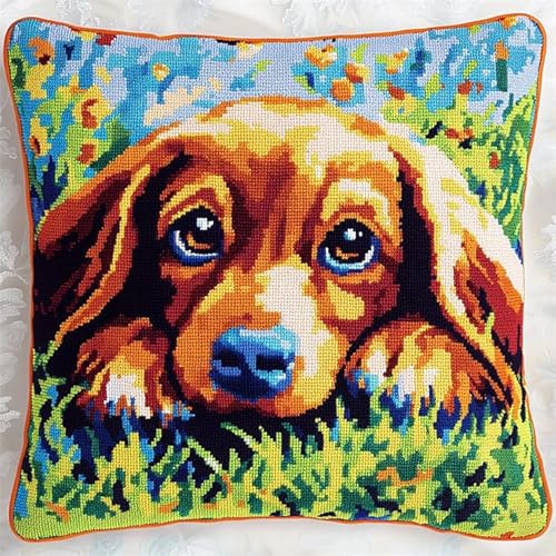 XDEGHUANGSS Juego de punto de almohada 3D con ganchos, materiales de almohada DIY, alfombra de ganchillo, cojín de hilo, juego de bordado para principiantes, funda de almohada, almohada, 43 x 43 cm