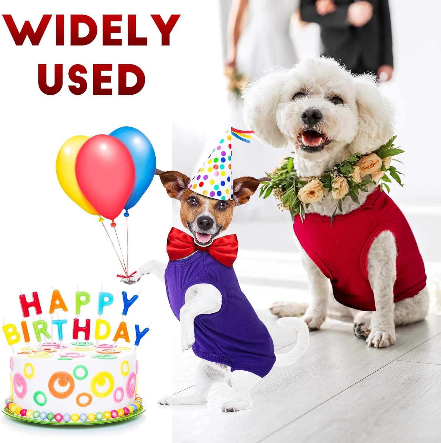 6 Pieces Dog Shirts Pet Puppy Blank Clothes Breathable Dog Plain Shirts Soft Puppy T-Shirts Clothes Outfit for Dogs Cats Puppy (Small, Blue, White, Purple, Green, Pink, Dark Red) : Pet Supplies