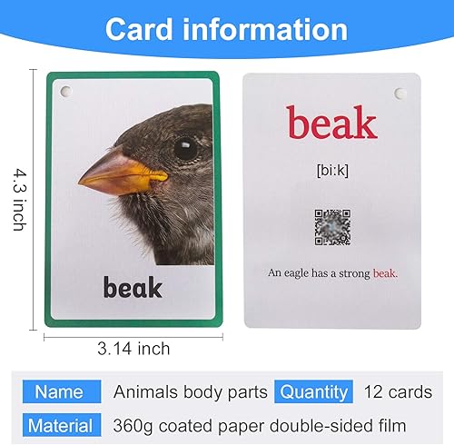 Miniatura 2 de 12 unids/set animales partes del cuerpo regalos niños tarjetas flash inglés tarjeta de bolsillo educativo aprendizaje bebé juguetes para niños