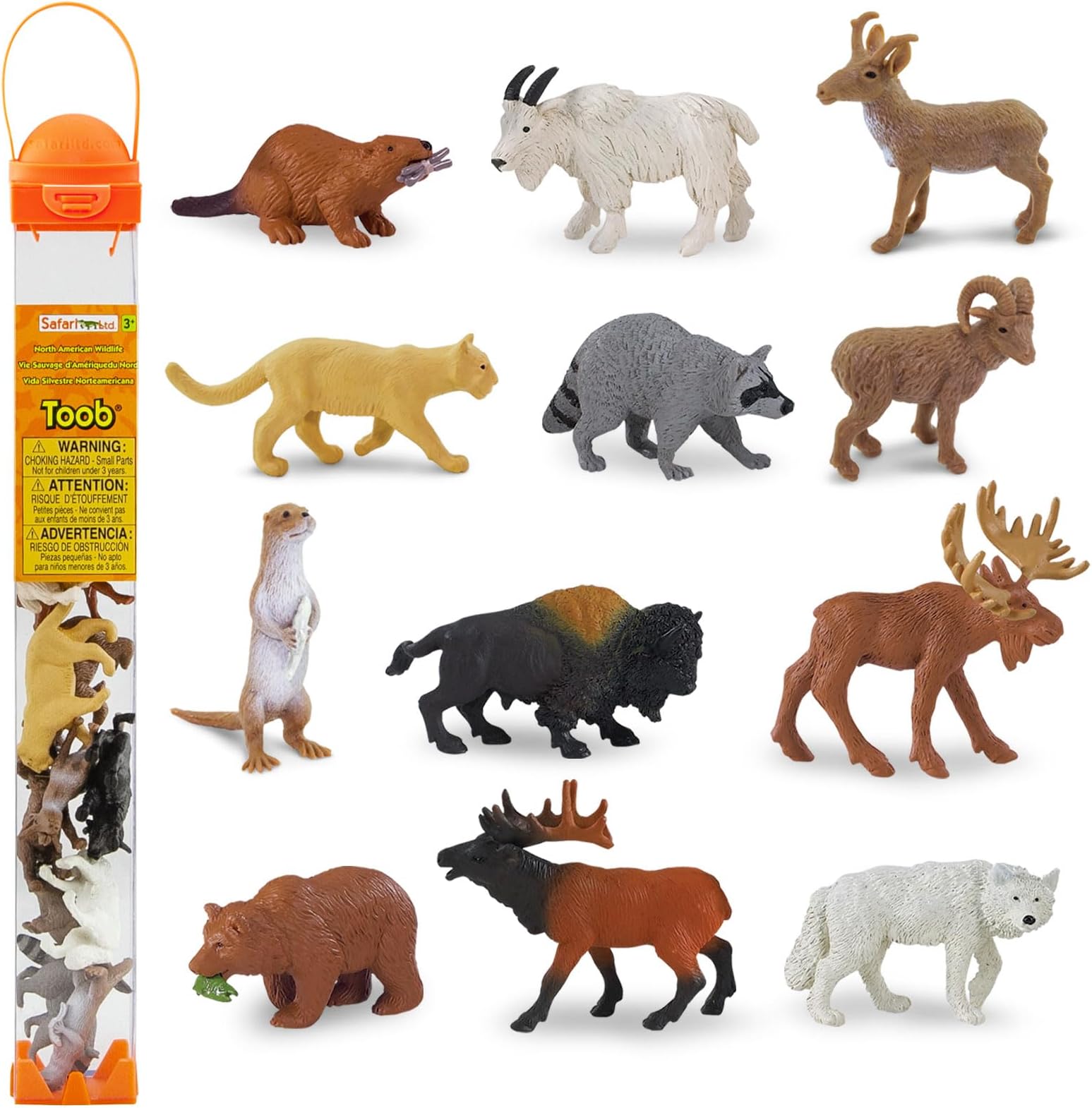 Safari Ltd Wild Safari North American Wildlife TOOB With 12 Favorite Animal Toy Figurines Including a Mountain Lion, Wolf, Elk, Big Horn Ram, Bison, River Otter, Raccoon, Pronghorn Buck, Moose, Grizzly Bear and Beaver.