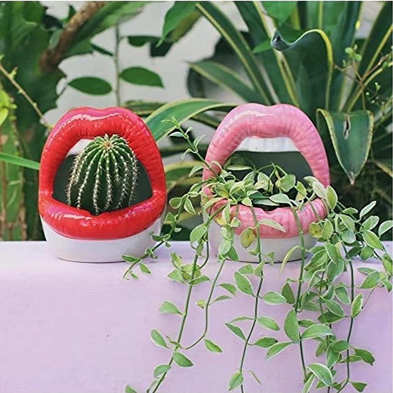 鉢・プランター Raruchia Amazon.co.jp: VIVIJOIE 植木鉢 陶器 小さい 多肉植物 鉢 陶器