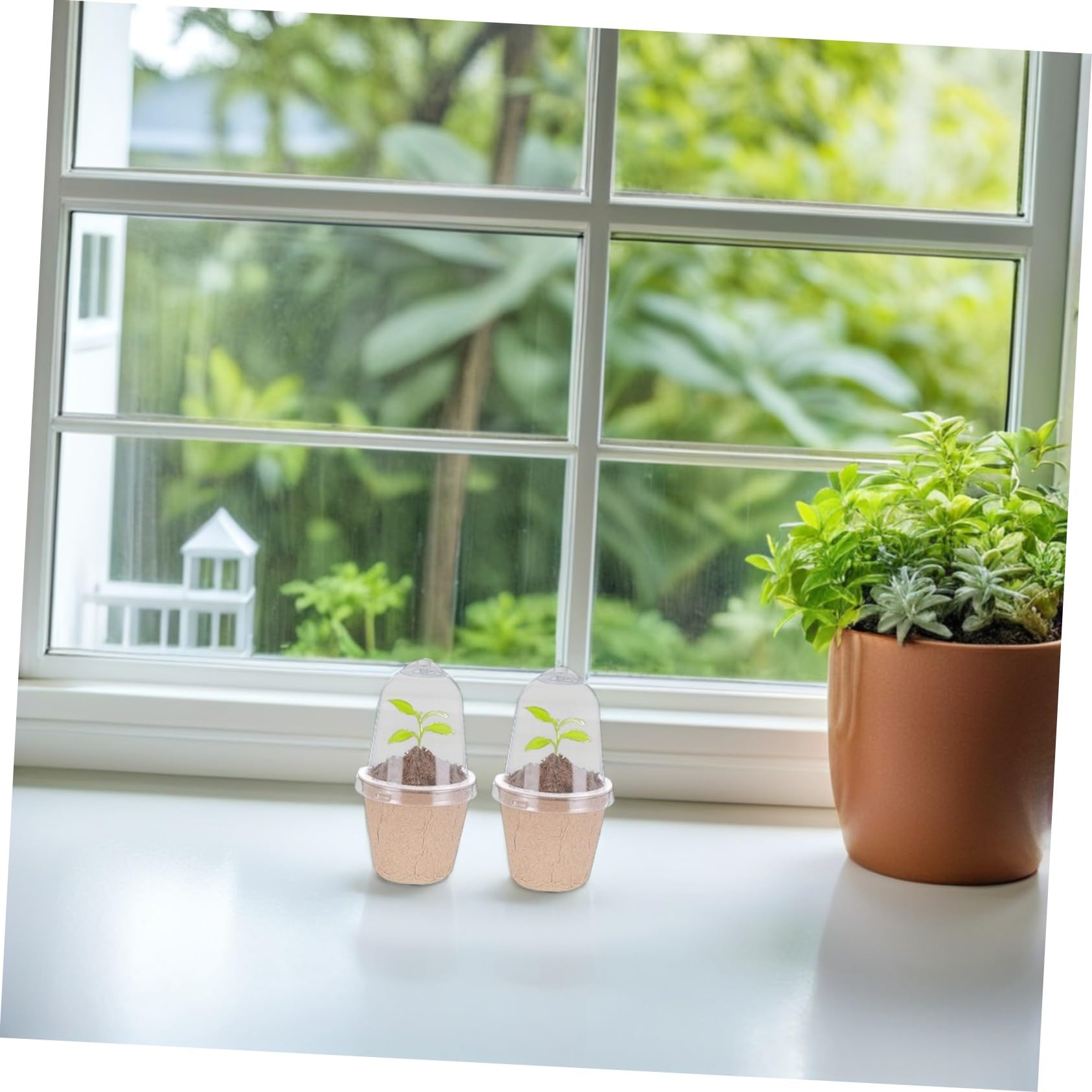 40 Pièces Pots de Culture Ronds de Papier pour Semis Contrôle Humidité Équilibré et Croissance des Racines pour Jardinage Intérieur et Projets Scolaires