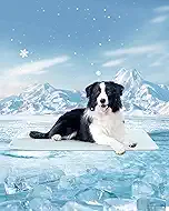 Dog Cooling Mat - Instant Cooling Pet Bed for Dogs & Cats, 6-12°F Drop, Non-Toxic & Machine Washable, Anti-Slip Bottom, Cool Mat for Indoor & Travel Use Light Blue 42" x 28"