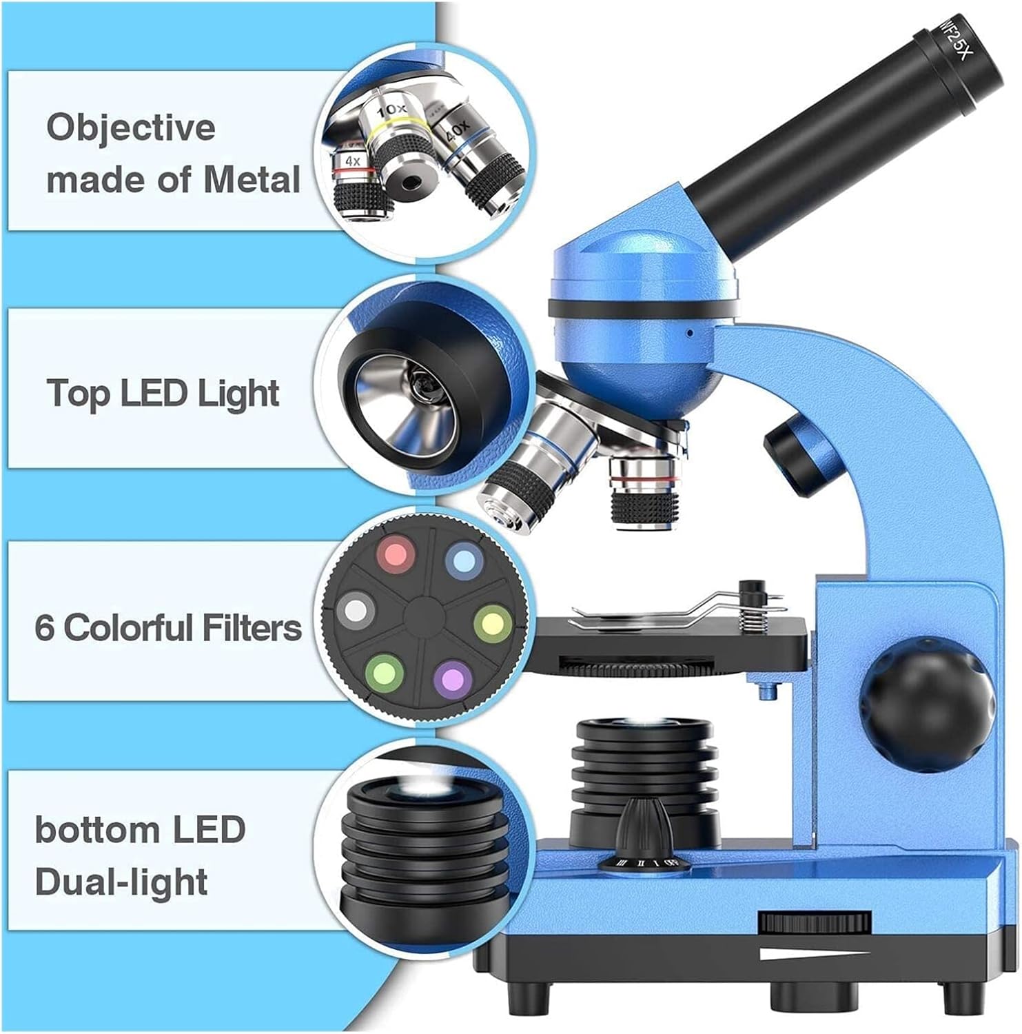 D.h. ヘラクレス 標本 max 180㎜ X <1005z昆虫・標本・カブトムシ>