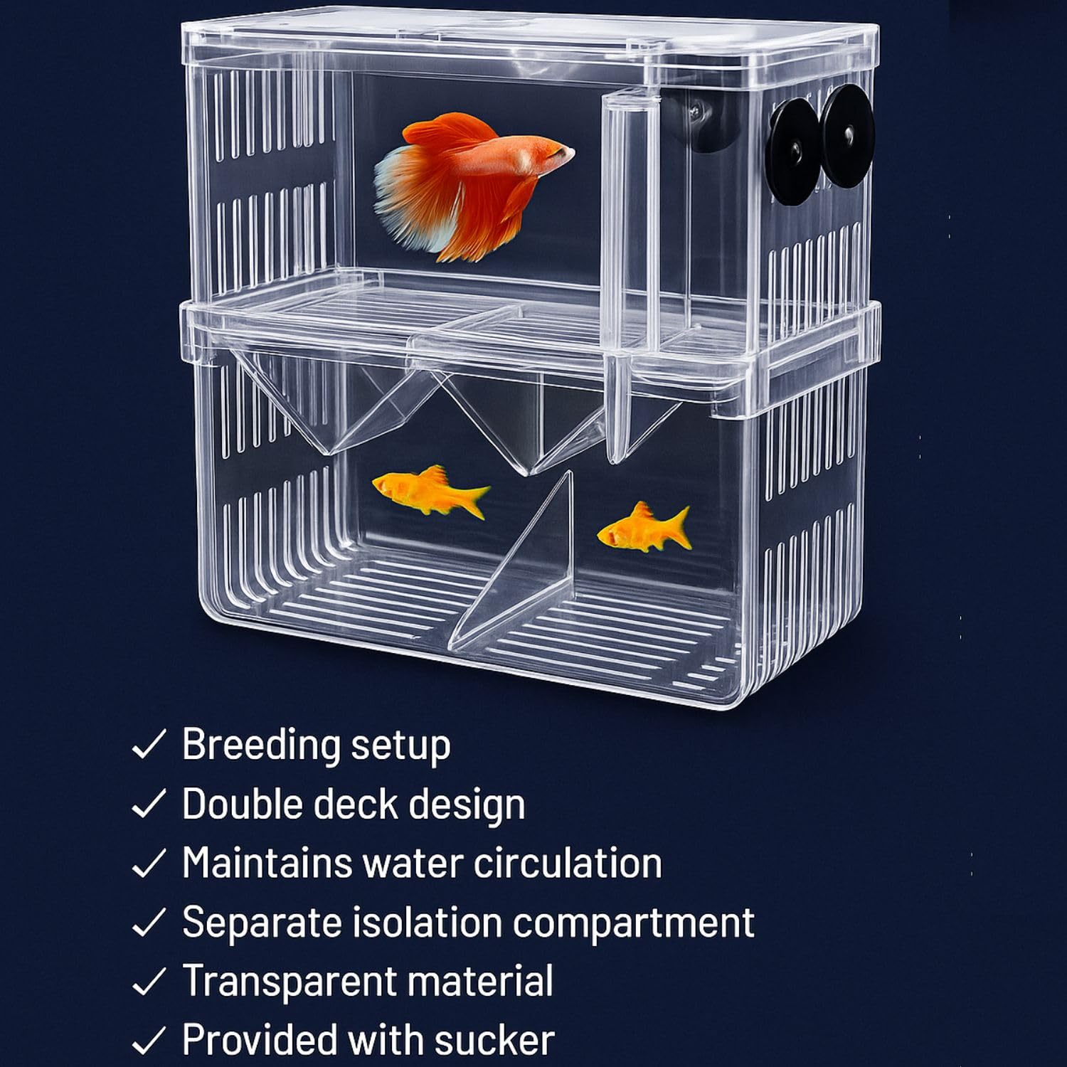 Fish Tank Setup for Fry Protection: Ultimate Guide to Safe Hatchlings