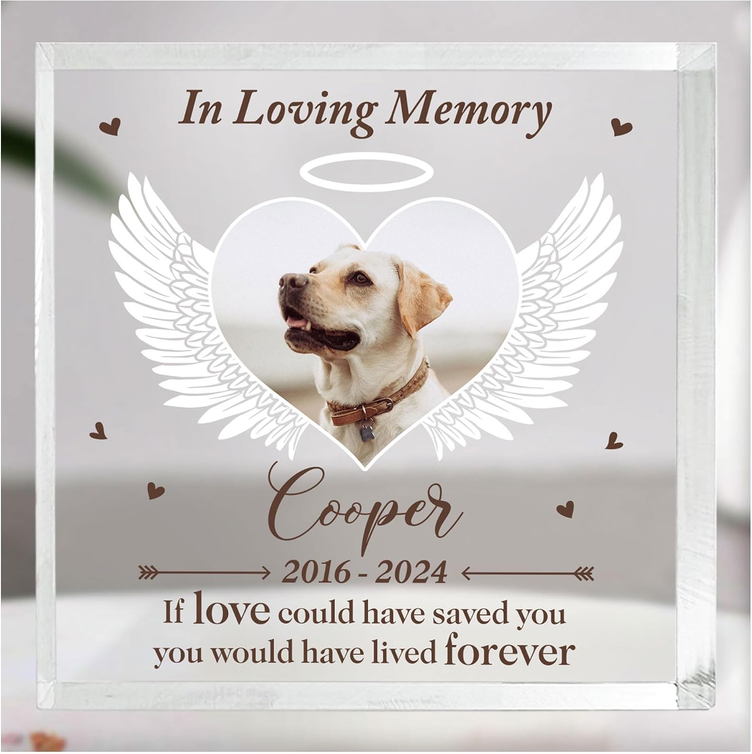 HYTURTLE Personalized Acrylic Square Shaped Plaque - Pet Memorial Keepsake - Forever In Our Heart - Desk Decor, Sympathy Gift