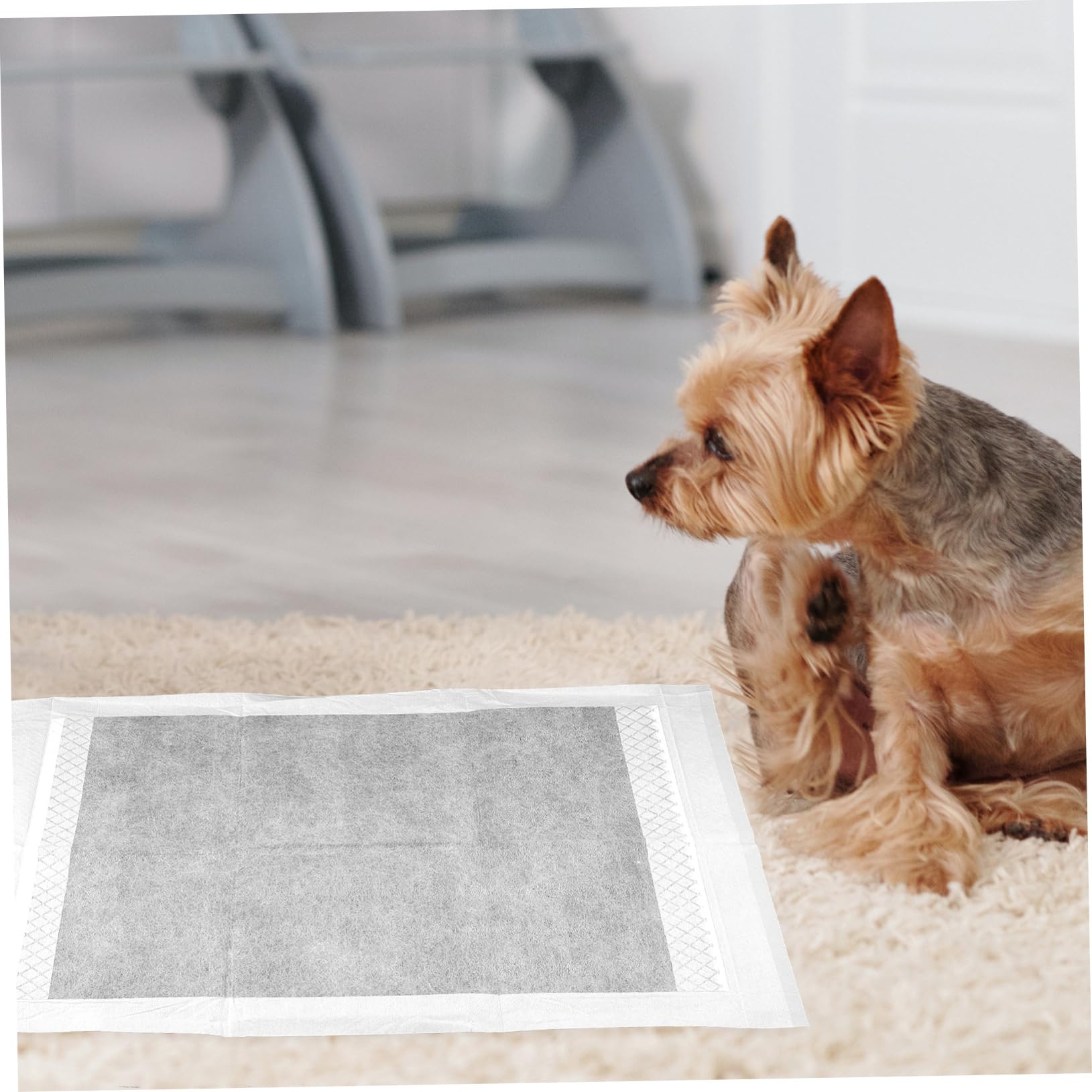 Tappetini Igienici per Cani Assorbenti 100 Pezzi Non Tessuto | Film Pe e Molecole di Carbone di Bambù, Asciugatura Rapida e Pulizia Semplice, per Casa e Gabbia
