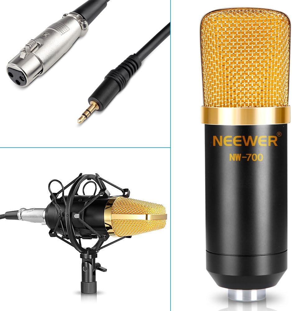 Neewer® Professional Studio Broadcasting / Recording NW-700 Condenser Microphone & NW-107 Folding Type Height Adjustable Microphone Tripod Boom Floor Stand Kit