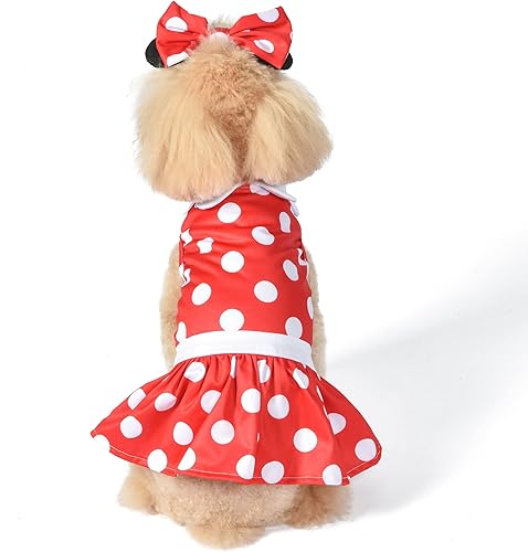 Miniatura 6 de Disney for Pets Disfraz de Halloween de Minnie Mouse para perros, grande, disfraz de Halloween de Disney, divertidos disfraces de mascotas  Disfraz