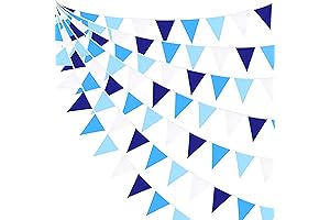 Ahoy! Pirate Party’s Royal Blue Pennant Banner