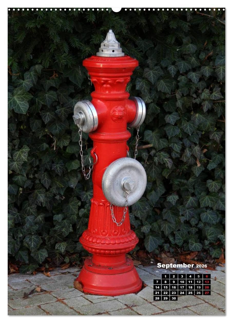 Nostalgie Hydranten (hochwertiger Premium Wandkalender 2026 DIN A2 hoch), Kunstdruck in Hochglanz: Hydranten am Straßenrand (CALVENDO Technologie)