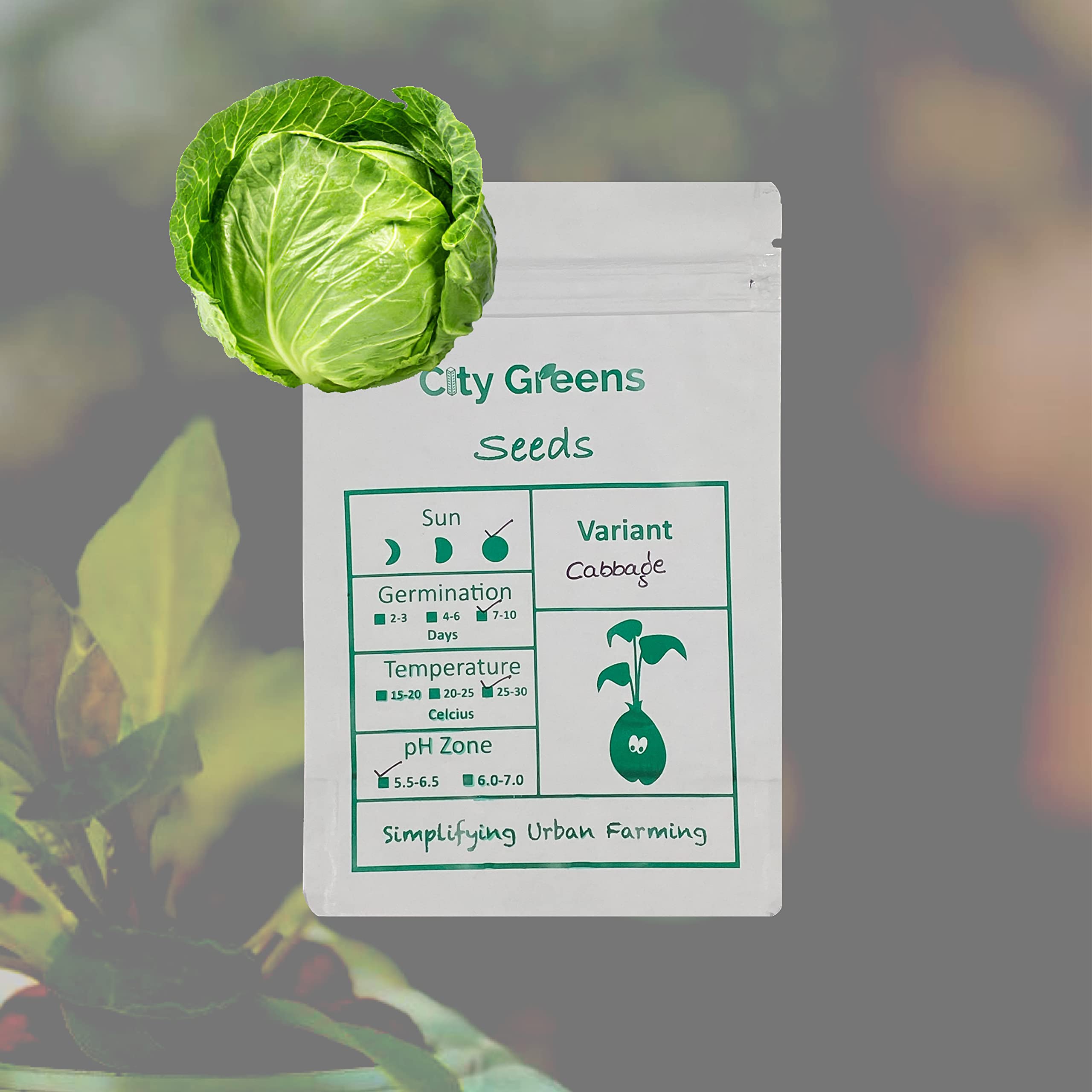 City Greens Plant Seeds For Home Gardening | Cabbage (Bandh Gobi) | Vegetable Seeds for Home Garden - Total 20 Seeds in a Pack. (B08SHHWFGP) Amazon Price History, Amazon Price Tracker