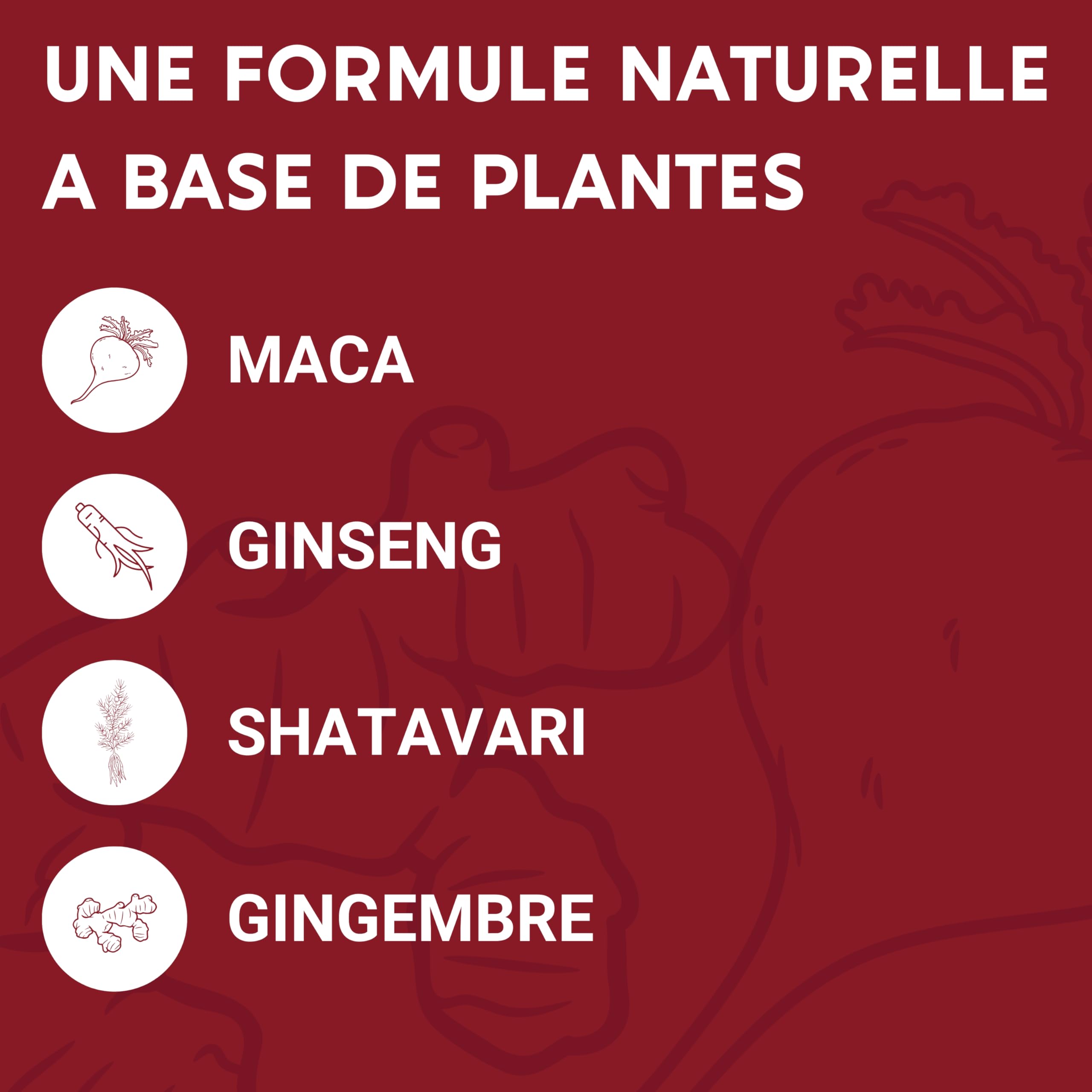 FORMULE FEMME | Vitalité Féminine | Complexe de Plantes : Maca, Gingembre, Ginseng, Shatavari, Vitamine B6 | 60 Gélules | Complement alimentaire | Fabriqué en France | lady era